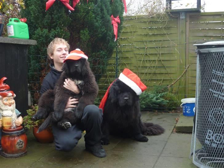 Julebilleder af Møffe & kængu carla billede 2