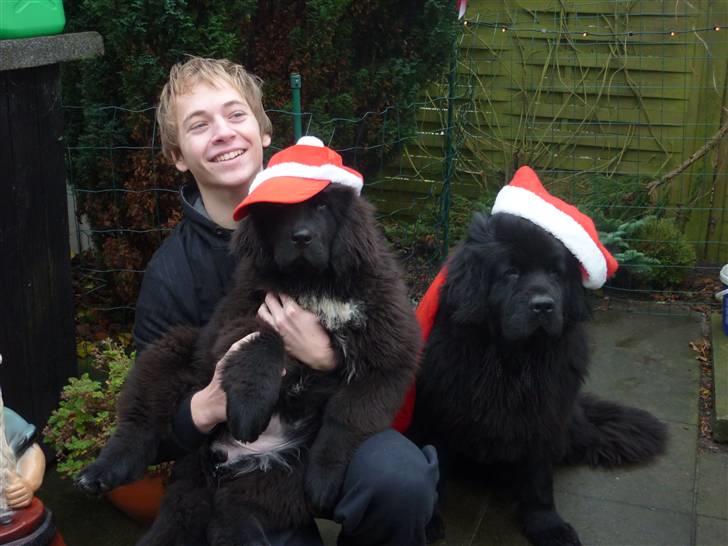 Julebilleder af Møffe & kængu carla billede 6