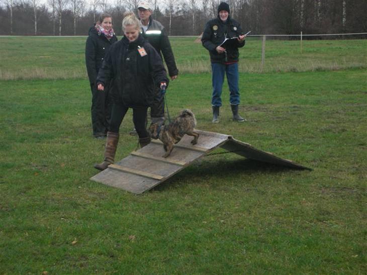 {{currentPhoto.altText}} billede {{currentPhoto.number}}