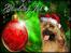 Julebilleder