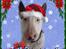 Julebilleder