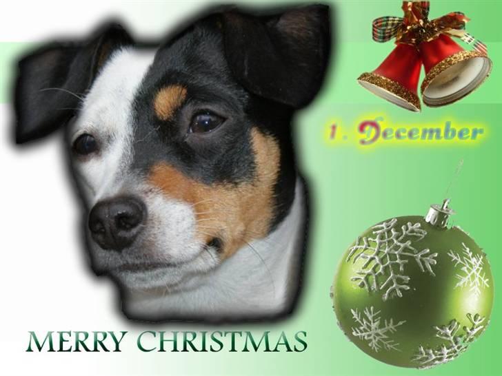 Hannes julekalender 09 billede 10