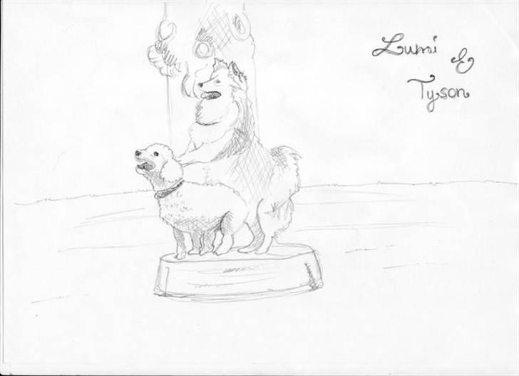 Superskønne tegninger og billeder fra andre - Fra Lunina i forbindelse med konkurrence :D billede 18