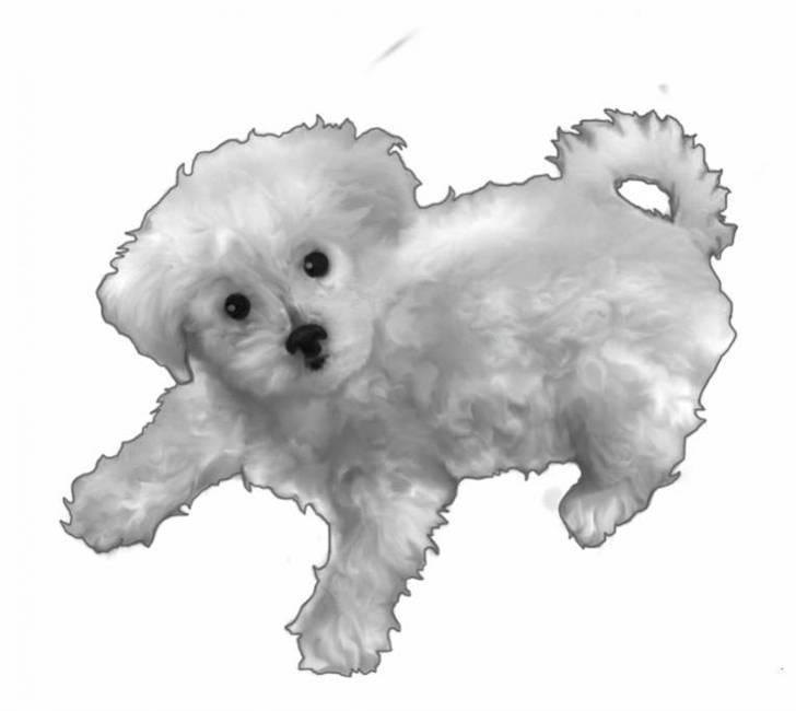 Superskønne tegninger og billeder fra andre - Fra Patchez i forbindelse med konkurrence :D billede 20