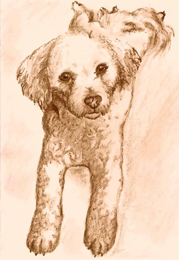 Superskønne tegninger og billeder fra andre - Fra Nas i forbindelse med konkurrence :D billede 25