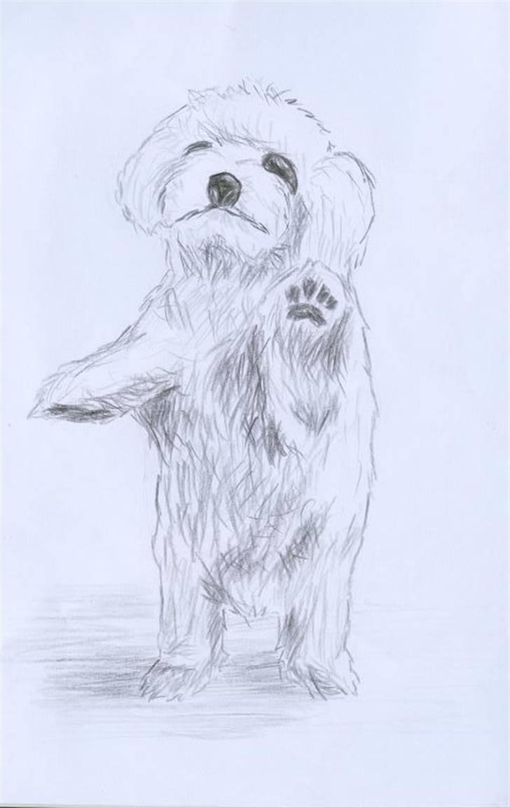 Superskønne tegninger og billeder fra andre - Fra puppyic i forbindelse med konkurrence :D billede 32