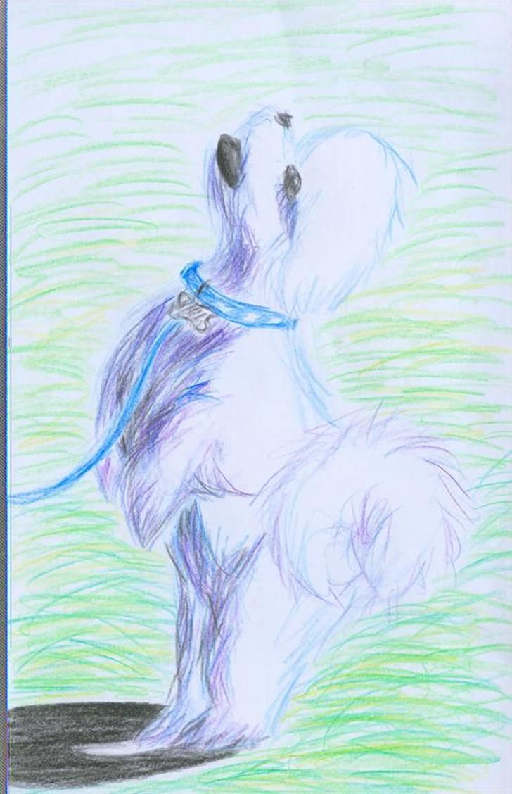 Superskønne tegninger og billeder fra andre - Fra puppyic i forbindelse med konkurrence :D billede 33