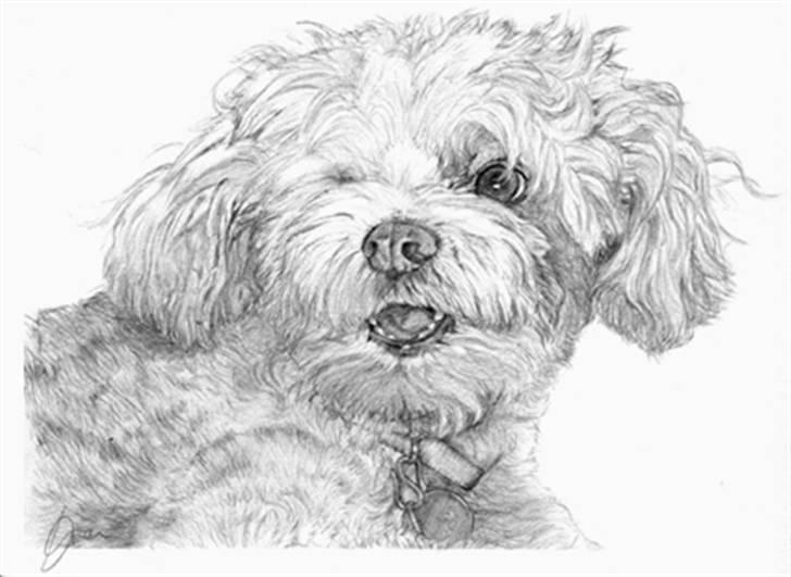 Superskønne tegninger og billeder fra andre - Fra bibi125 i forbindelse med konkurrence :D billede 34