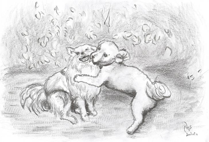 Superskønne tegninger og billeder fra andre - Fra Nas i forbindelse med konkurrence :D billede 35