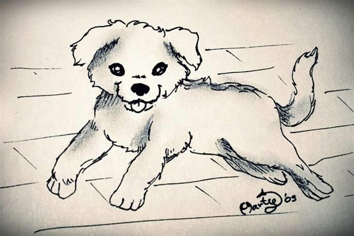 Superskønne tegninger og billeder fra andre - Fra Martina23000 i forbindelse med konkurrence :D billede 39