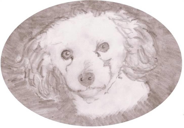 Superskønne tegninger og billeder fra andre - Fra Rhino's dad i forbindelse med konkurrence :D billede 40