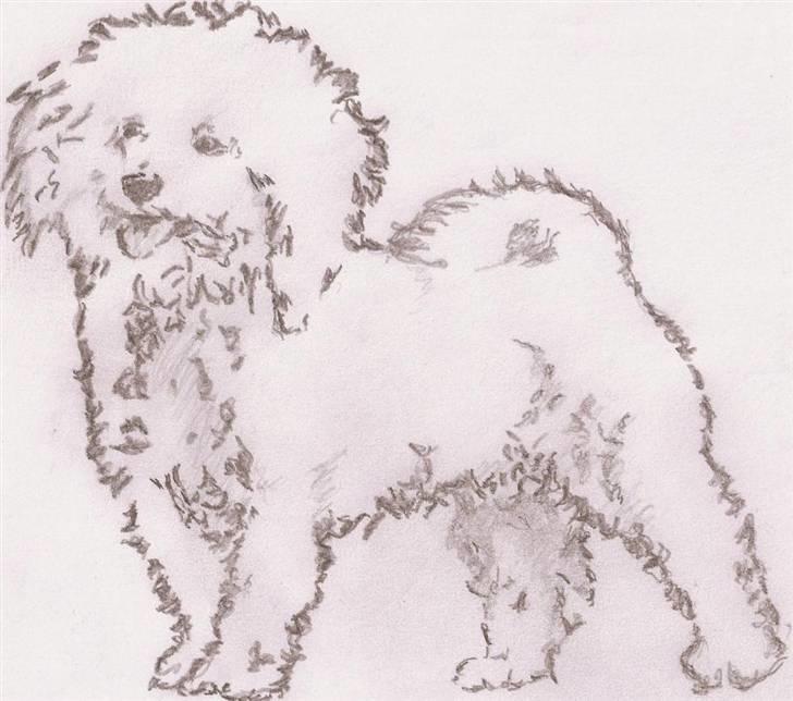 Superskønne tegninger og billeder fra andre - Fra Rhino's Dad i forbindelse med konkurrence :D billede 43