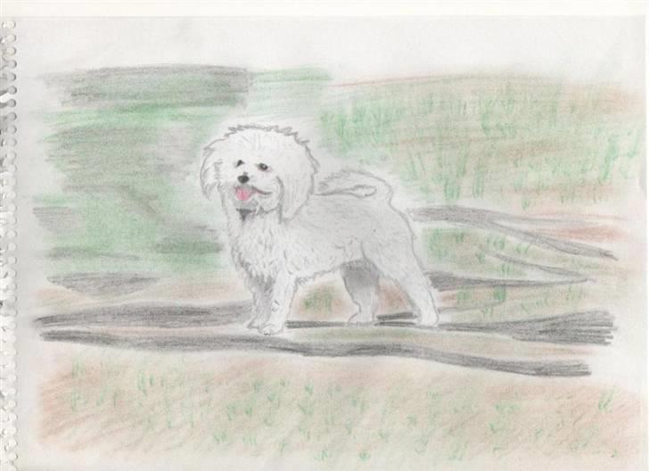 Superskønne tegninger og billeder fra andre - Fra Umi-chan  i forbindelse med konkurrence :D billede 66