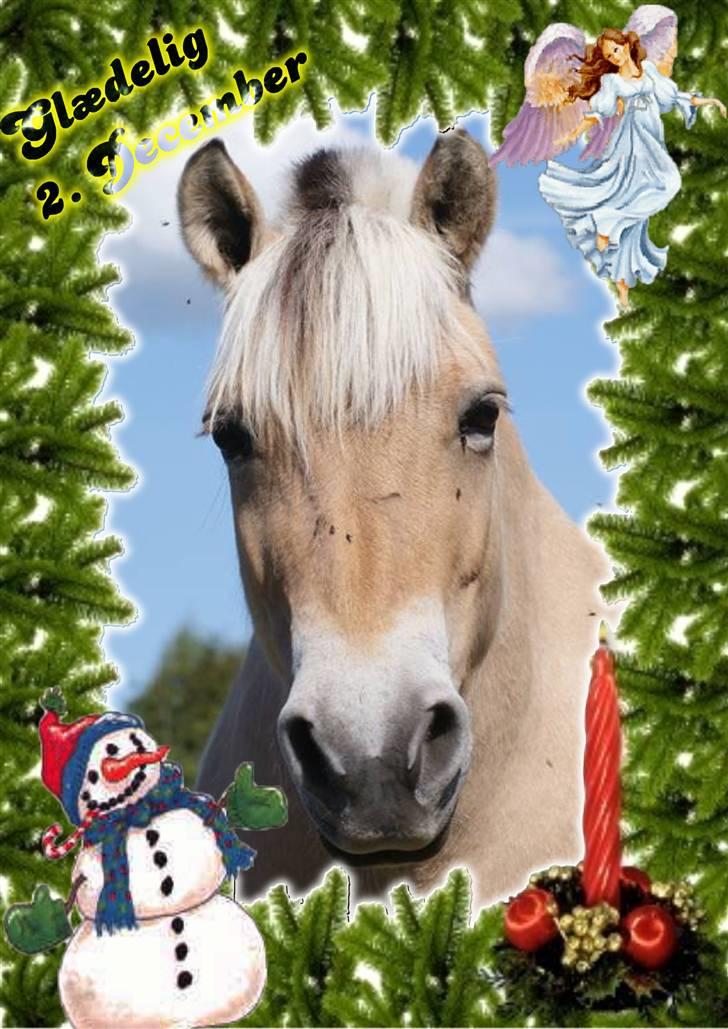 Hannes julekalender 09 billede 9