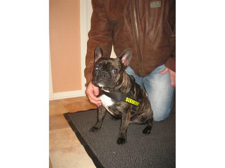 {{currentPhoto.altText}} billede {{currentPhoto.number}}