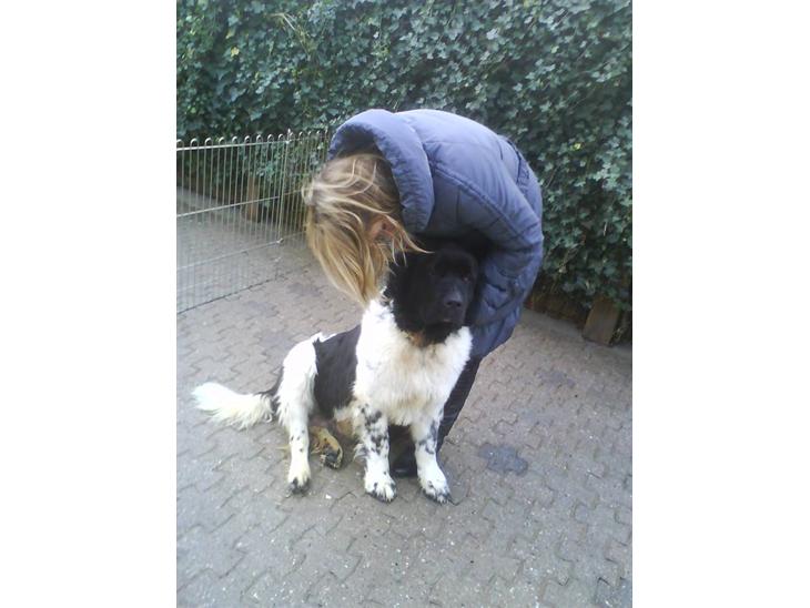 {{currentPhoto.altText}} billede {{currentPhoto.number}}