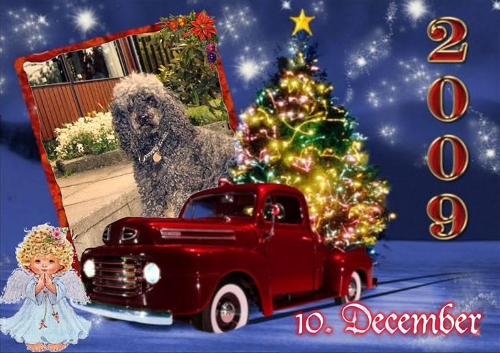 Hannes julekalender 09 billede 1