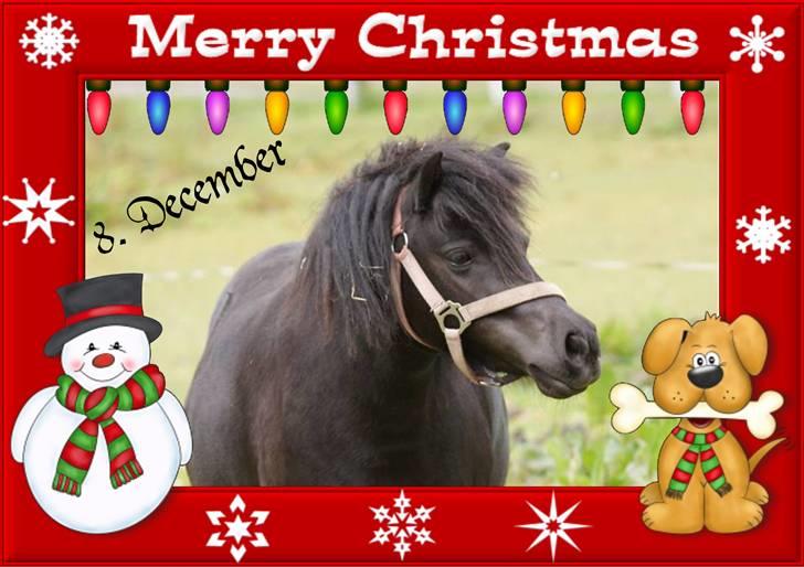 Hannes julekalender 09 billede 3