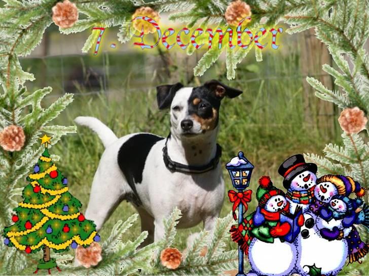 Hannes julekalender 09 billede 4