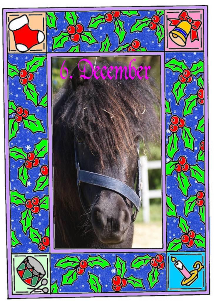 Hannes julekalender 09 billede 5