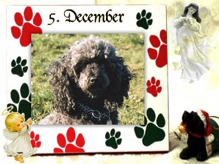 Hannes julekalender 09 billede 6