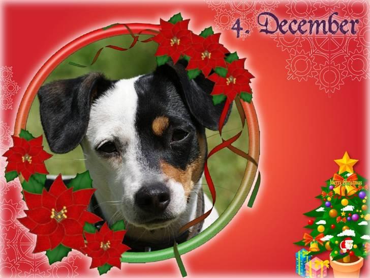 Hannes julekalender 09 billede 7