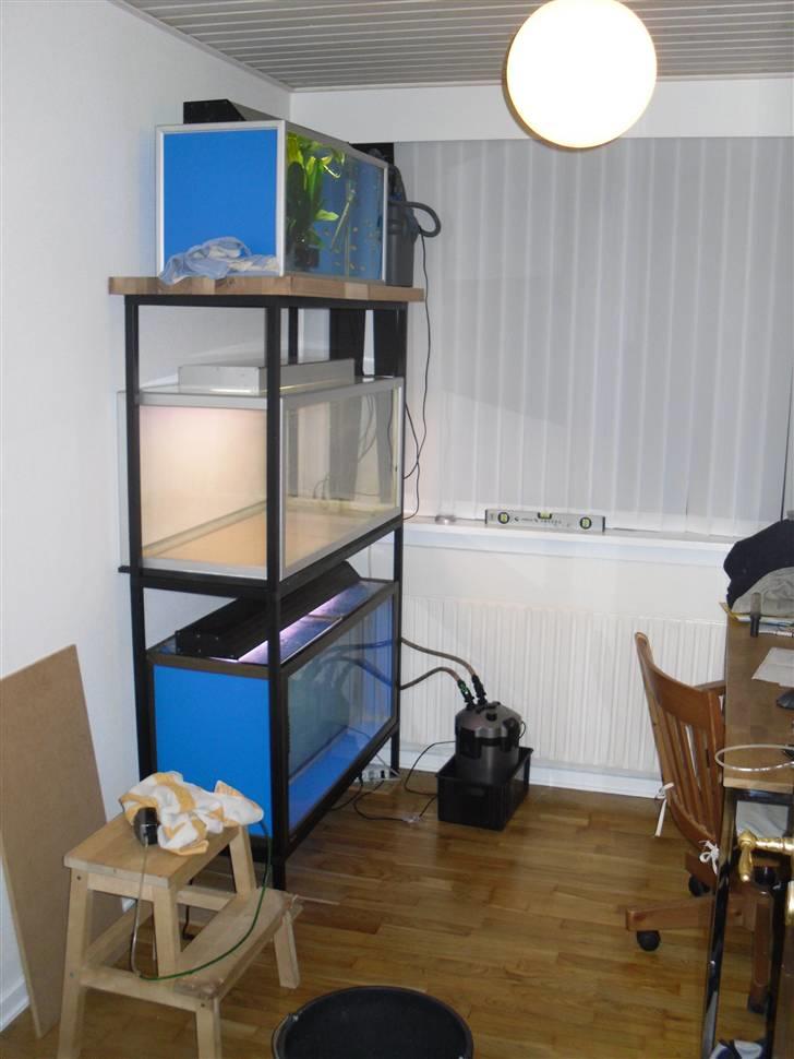 Min selv konstrueret akvarie reol. billede 2