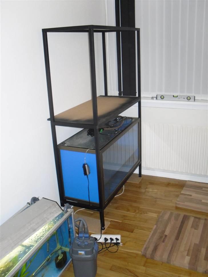 Min selv konstrueret akvarie reol. billede 4