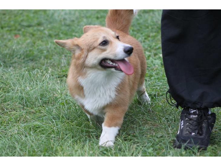 {{currentPhoto.altText}} billede {{currentPhoto.number}}