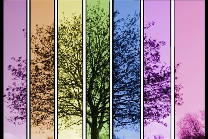 Manipulerede billeder. billede 7