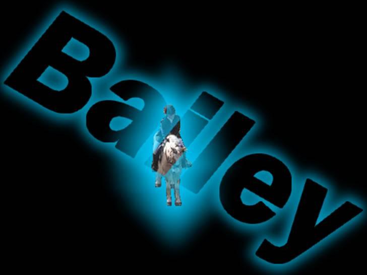 Dyr med navn til billede 1