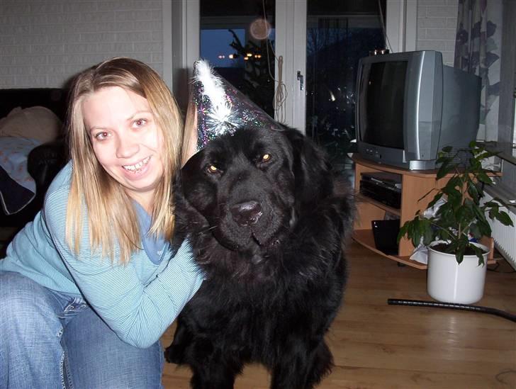 Bamses jul og nytår 2009 - Dette er vist et billed fra 2007 :-) billede 8