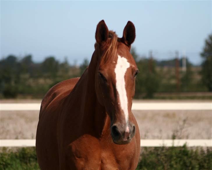 Dondee, himlen er blevet en stjerne rigere =( billede 1