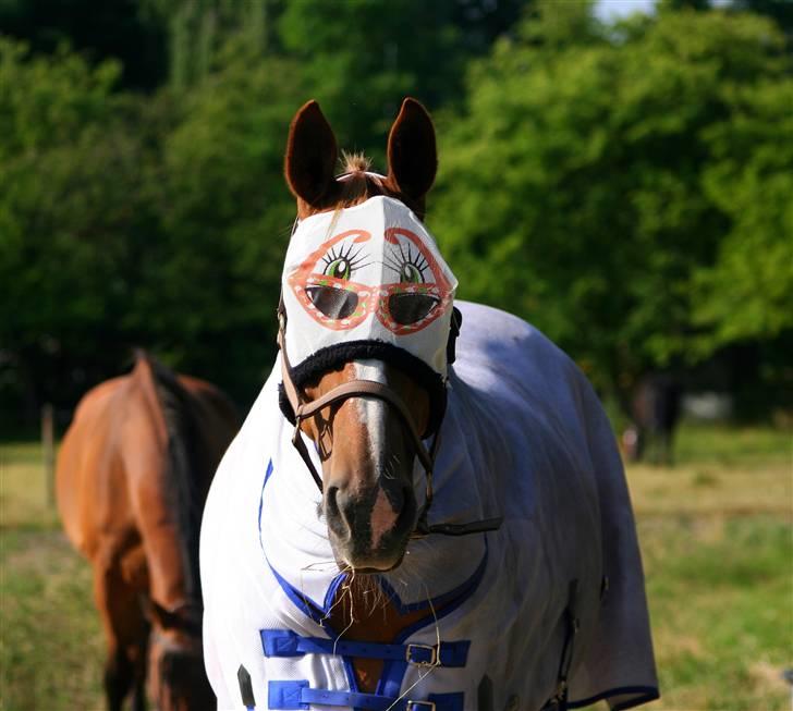 Dondee, himlen er blevet en stjerne rigere =( billede 14