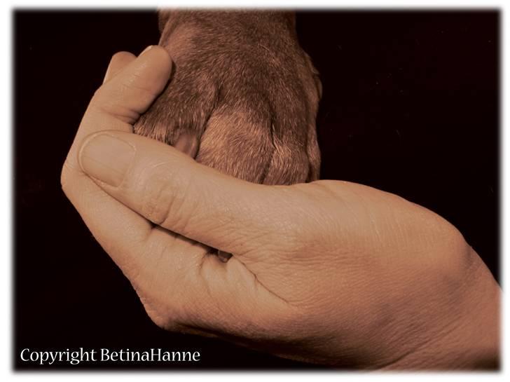 Mine 2 DdB'er billede 7