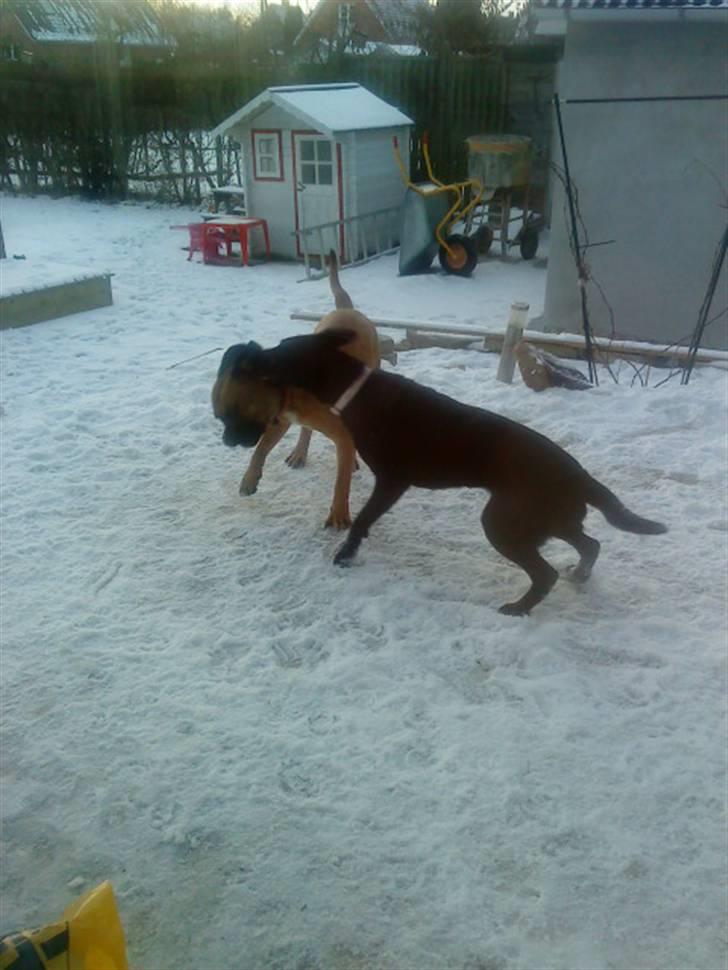 Pepsi og bedste veninde billede 4