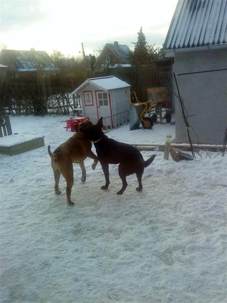 Pepsi og bedste veninde billede 10