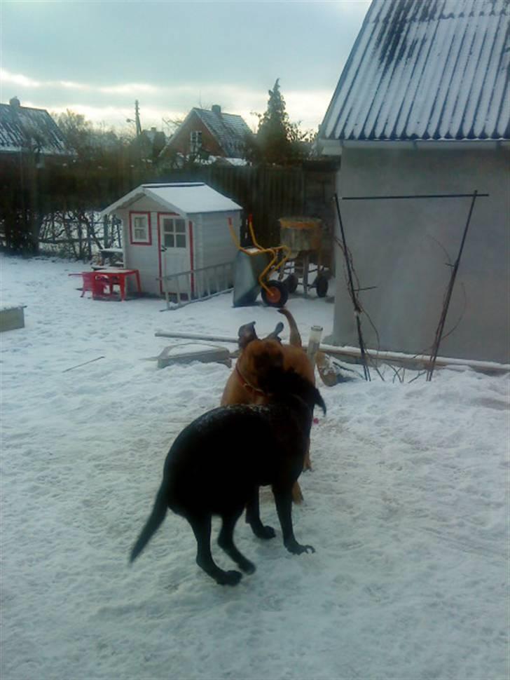 Pepsi og bedste veninde billede 14