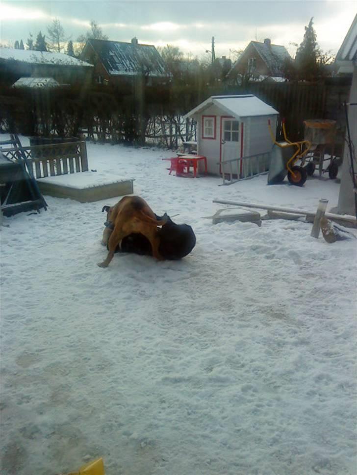 Pepsi og bedste veninde billede 18