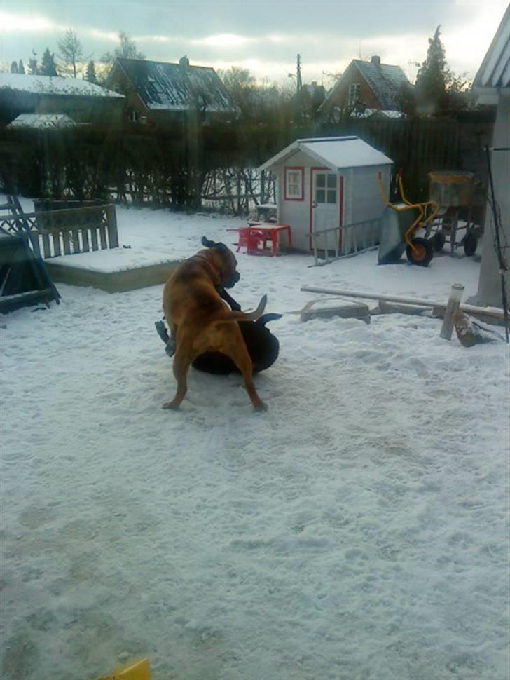 Pepsi og bedste veninde billede 20