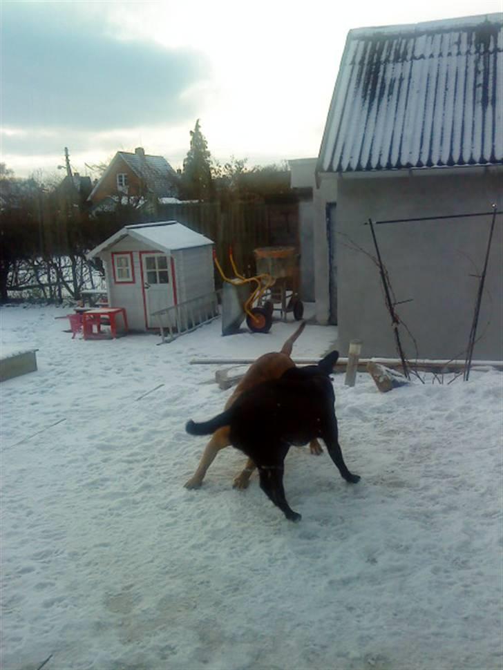 Pepsi og bedste veninde billede 24