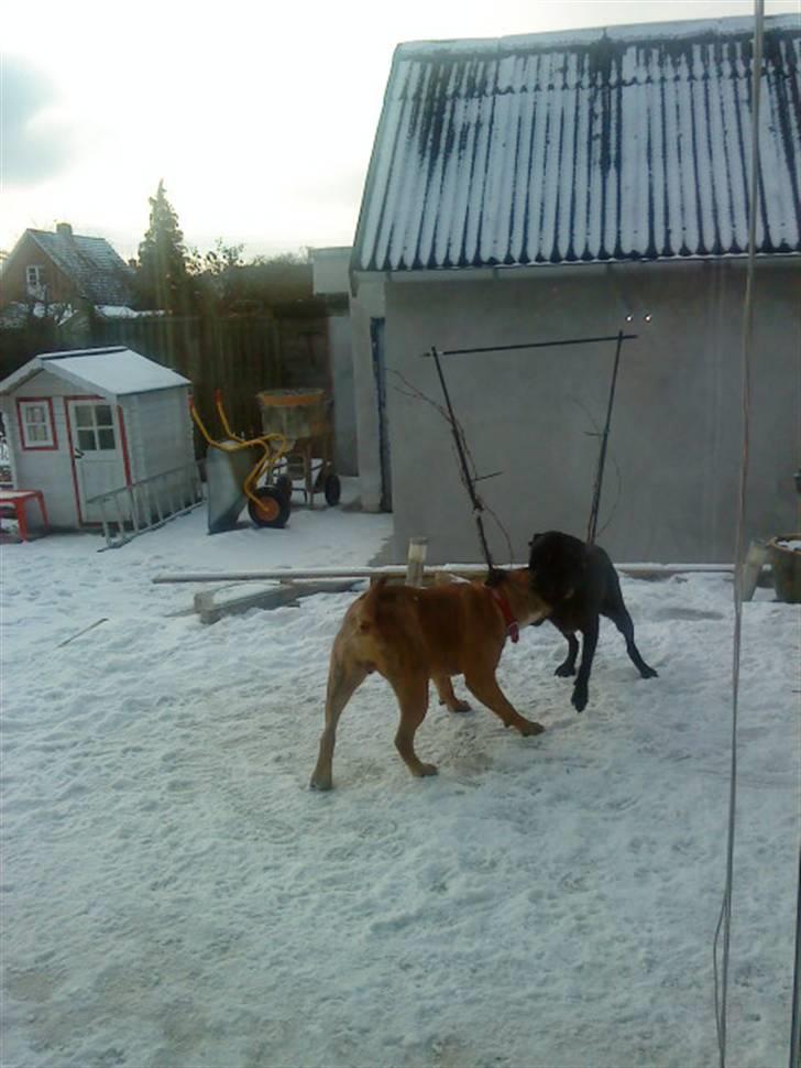 Pepsi og bedste veninde billede 32