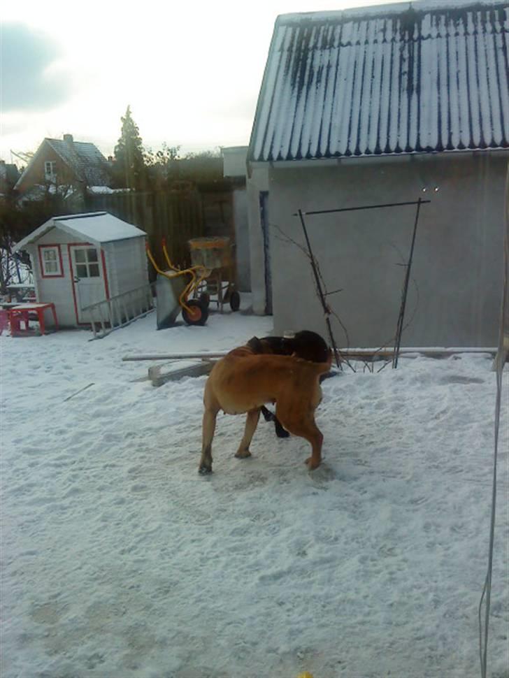 Pepsi og bedste veninde billede 33