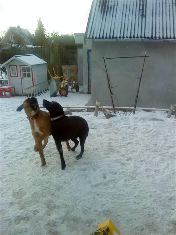 Pepsi og bedste veninde billede 35