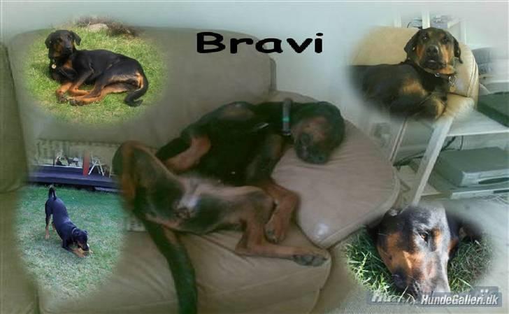 Tegninger / billeder som er lavet til mig - Bravi / lavet af PinkRoses her fra HG billede 2