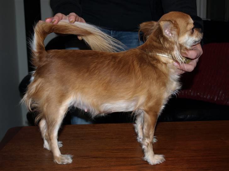 Nede og se på tykke maver hos Fru Eeg og Hr Buchingham;o) billede 10