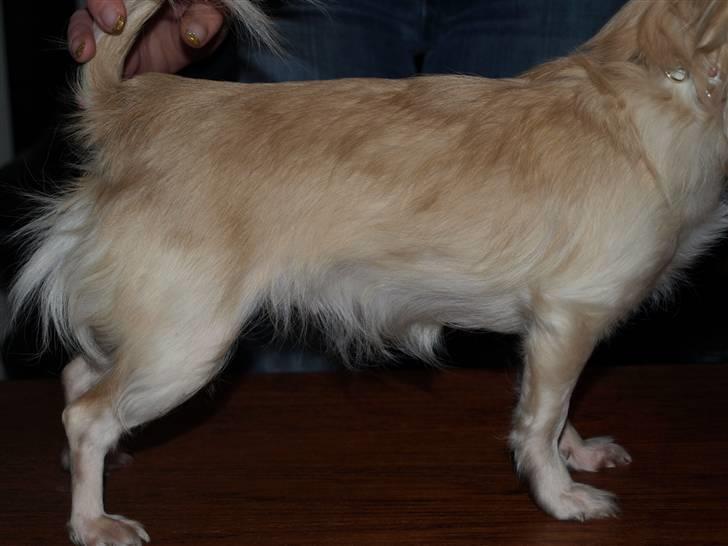 Nede og se på tykke maver hos Fru Eeg og Hr Buchingham;o) billede 17