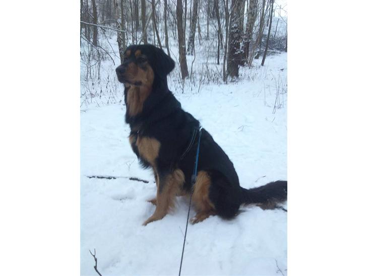 {{currentPhoto.altText}} billede {{currentPhoto.number}}