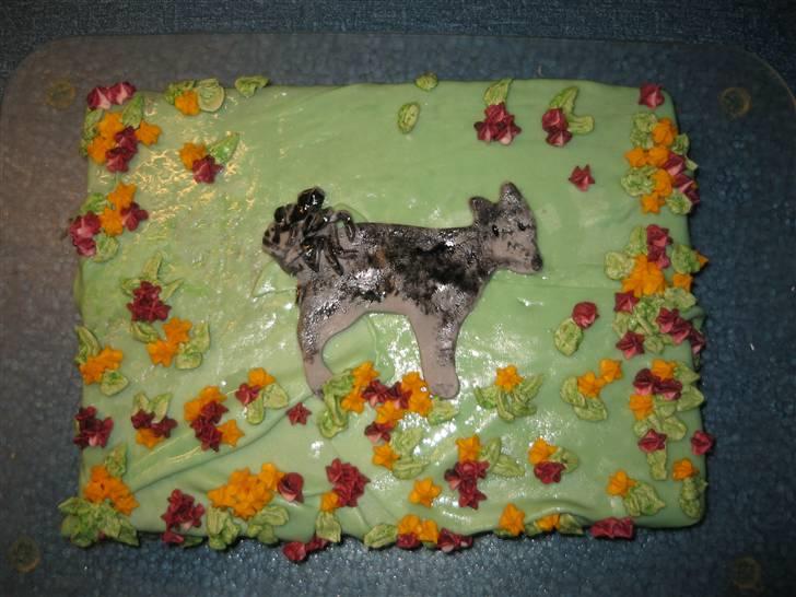 Kager - Hvidebunde med (forsøgs) chokoladecreme :-) billede 8