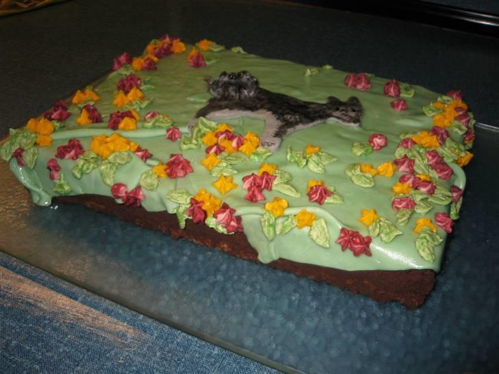 Kager - Pyntet med MMF og blomster i smørcreme...

Wasikka og jeg havde den med til hundetræning :-) billede 9